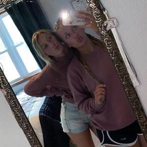 Meet your Posher, Maddy